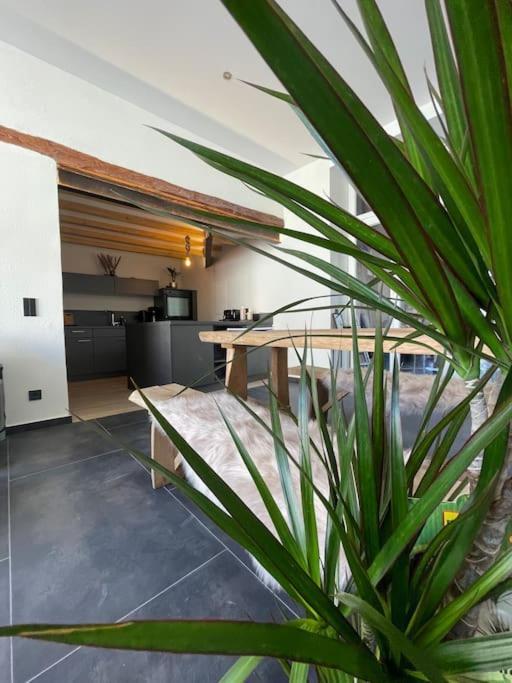 Mya Lenas Suite Irrel Exterior foto